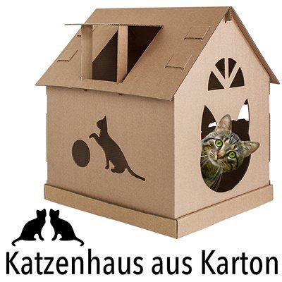 Unser Katzenhaus perfekt für ihre Katze.