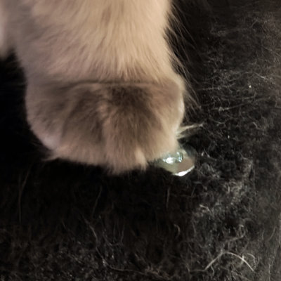 Durch unversenkte Schraubenköpfe werden ganz leicht empfindliche Katzenpfoten und Krallen verletzt. Gerade Schraubenköpfe am Rand haben Gefahrenpotential, da die Katze sich dort oft an ihren Krallen auf den Kratzbaum hochzieht.