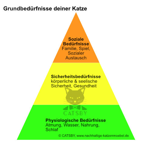 Grundbedürfnisse deiner Katze für ein gesundes Leben Grundbedürfnisse deiner Katze für ein gesundes Leben