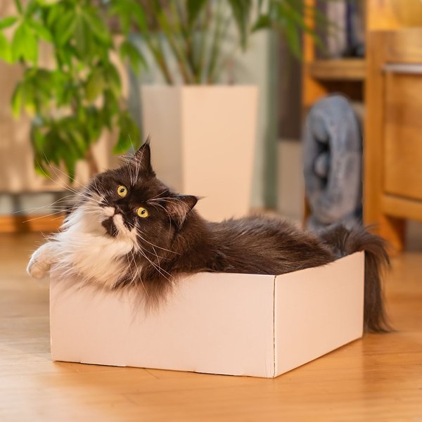 Katzenkratzkiste Krallenpflege ganz entspannt Unsere Katzenkiste ist perfekt für die angenehme Krallenpflege. Die eingelegte Kratzmatte liegt sich bequem und angenehm.