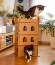 Katzenburg aus Pappe