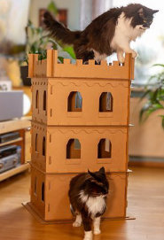Katzenburg aus Pappe