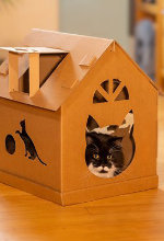 Katzenhaus aus Karton vom Hersteller kaufen