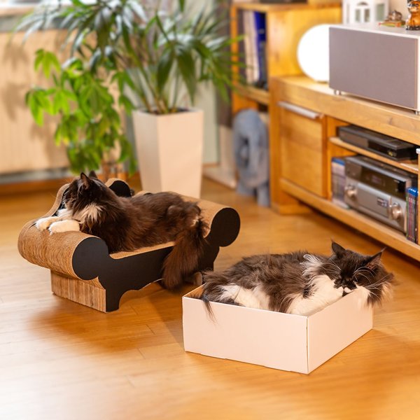 Katzenkiste und Katzensofa in Nutzung Unser Katzenkiste und unser Katzensofa Armstrong in Nutzung durch unsere Katzen. Gemütlich und angenehme Spielflächen und Ruheflächen.