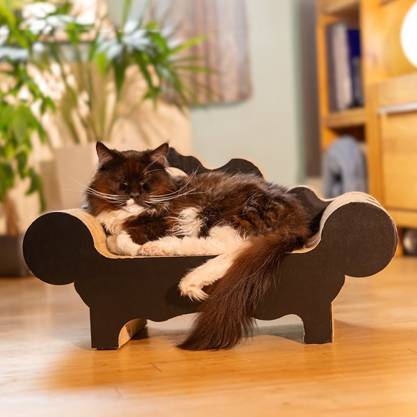 Kratzsofa Armstrong entspannt die Katze Unser Katzensofa Armstrong entspannt deine Katze und bietet ihr gemütliche Krallenpflege.