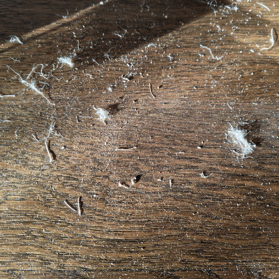 Sisalseil hat Nachteile und verursacht Dreck. Dreck versetzt mit Kot und Bakterien, da sich deine Katze damit reinigt.